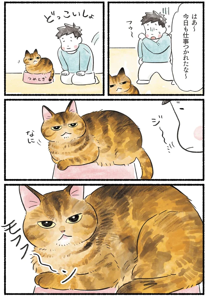 今日も仕事つかれたな~