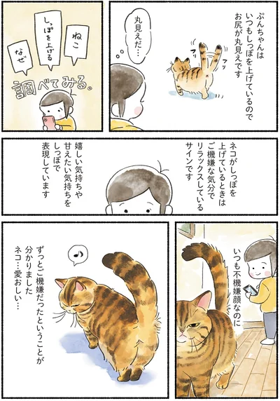 『今日もとなりにネコがいる』より