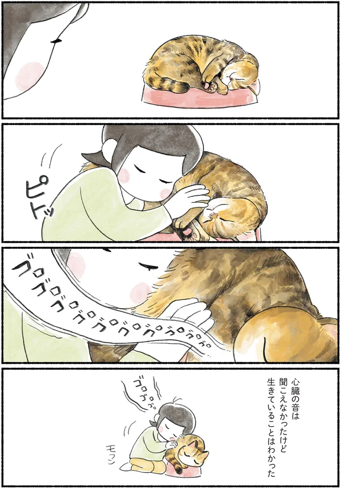 『今日もとなりにネコがいる』より