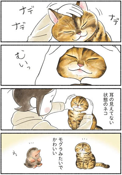 『今日もとなりにネコがいる』より