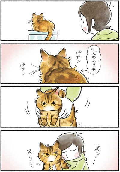 『今日もとなりにネコがいる』より