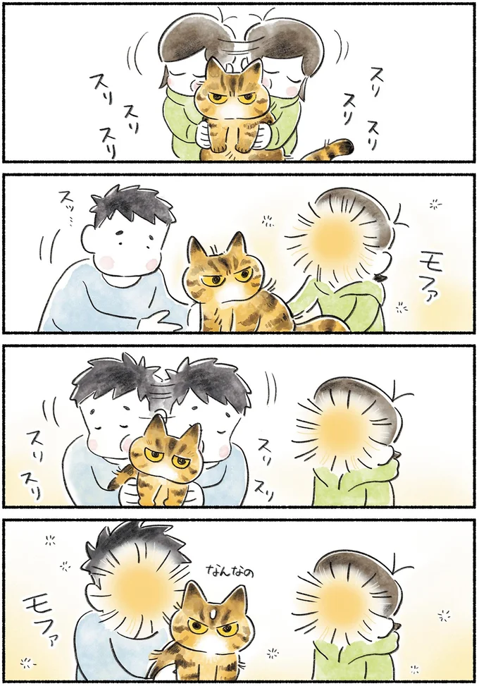 『今日もとなりにネコがいる』より