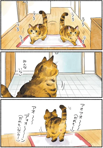 『今日もとなりにネコがいる』より