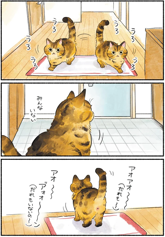 『今日もとなりにネコがいる』より