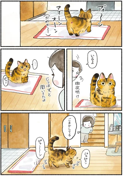 『今日もとなりにネコがいる』より
