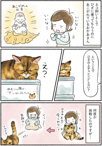 『今日もとなりにネコがいる』より