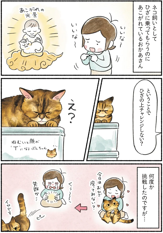 『今日もとなりにネコがいる』より