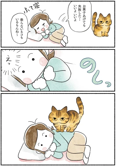 『今日もとなりにネコがいる』より