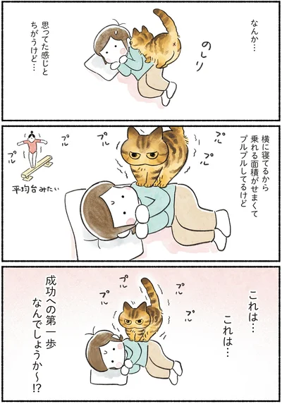 『今日もとなりにネコがいる』より