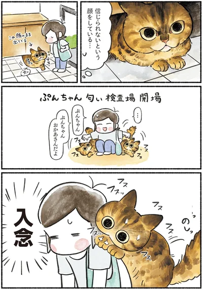 『今日もとなりにネコがいる』より
