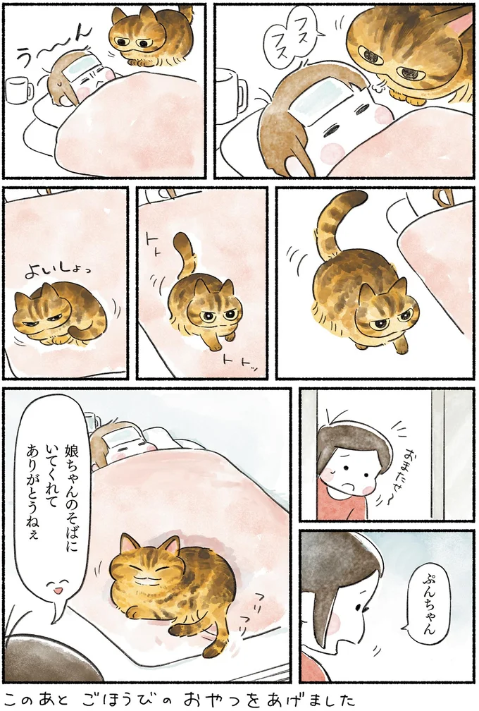 『今日もとなりにネコがいる』より
