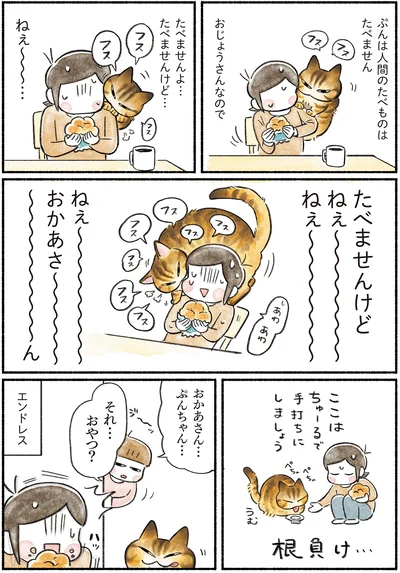 『今日もとなりにネコがいる』より
