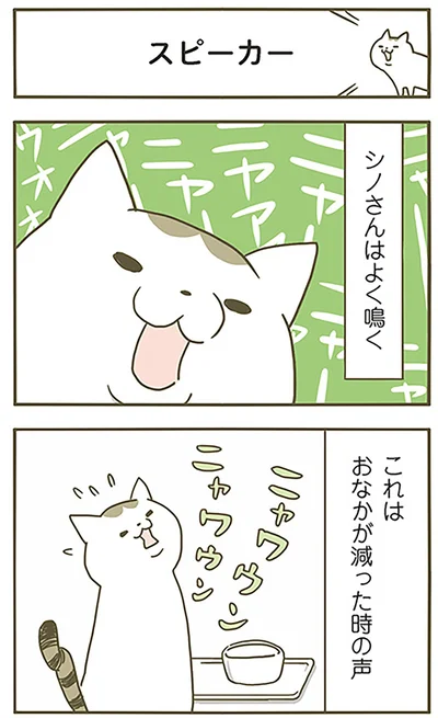 スピーカー