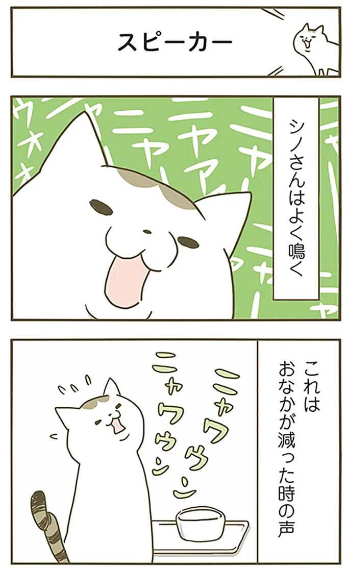 スピーカー