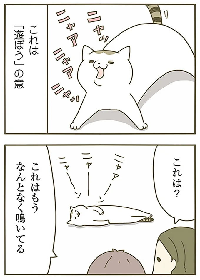 これは?