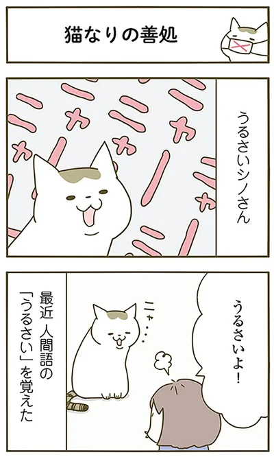 猫なりの善処