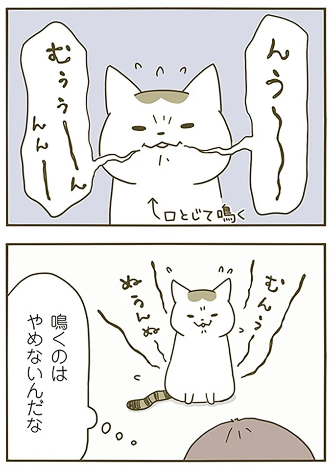 鳴くのはやめないんだな