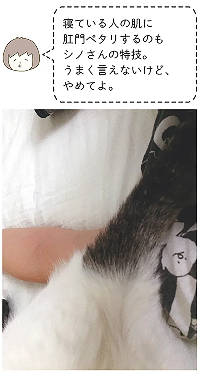うまく言えないけど
