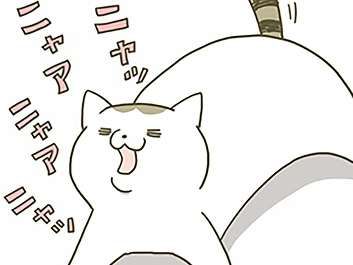ごはんが欲しい、遊びたい。よく鳴くうちの猫、今はどんな理由で鳴いてるの？