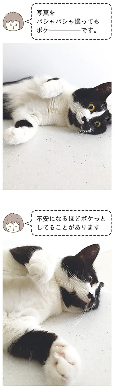 不安になるほど
