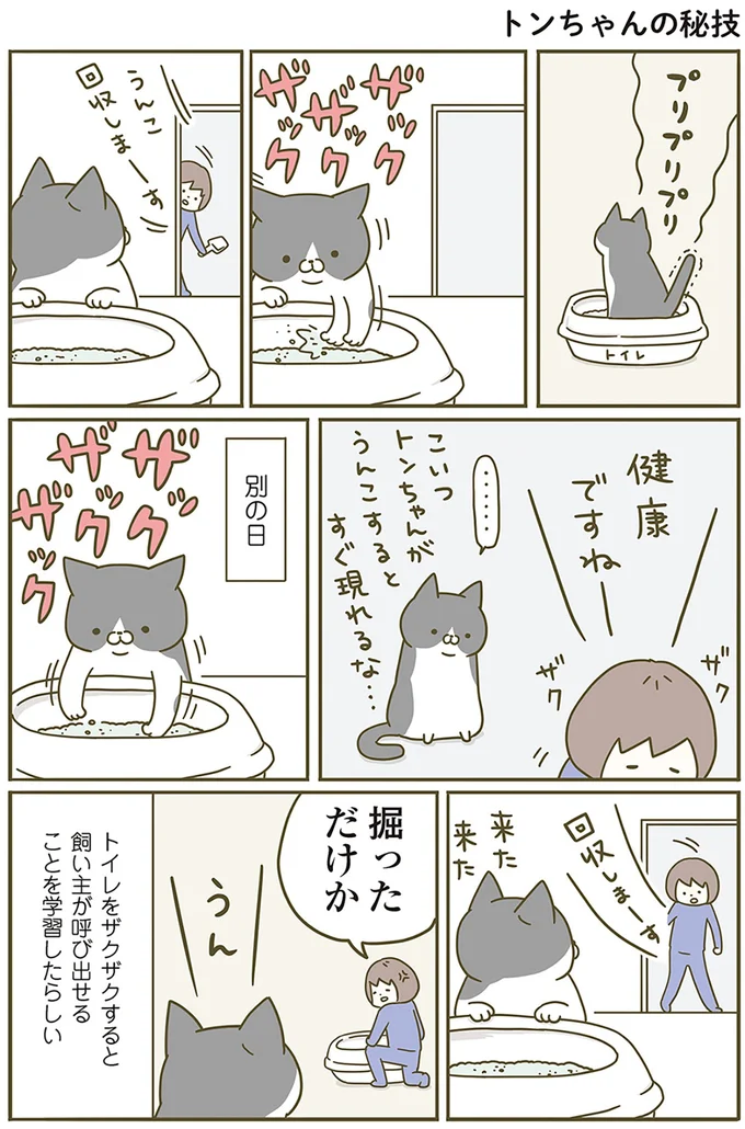 トンちゃんの秘技