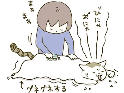 ブラッシング