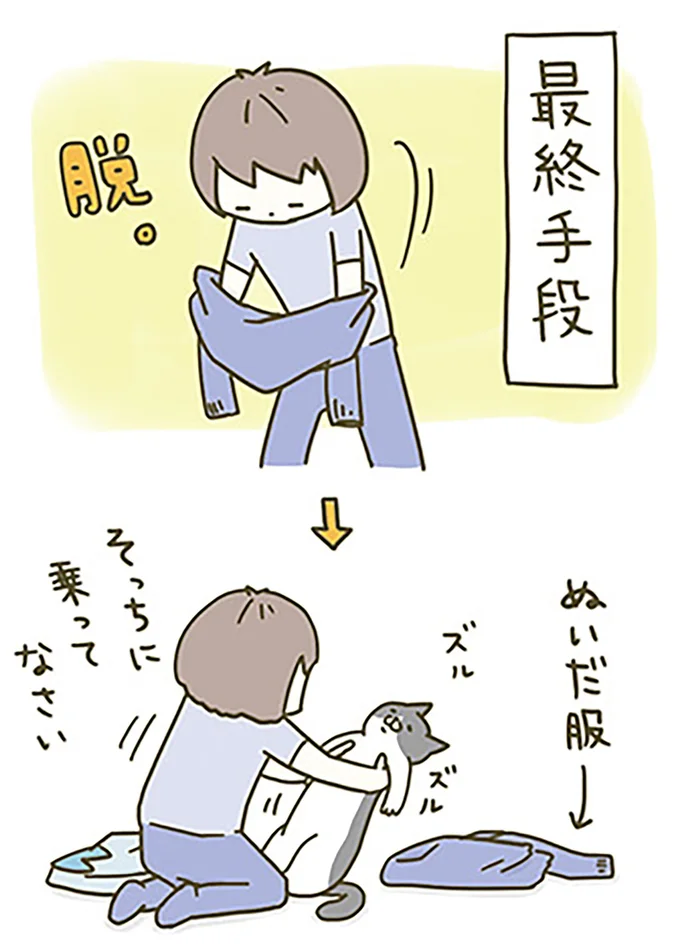 最終手段