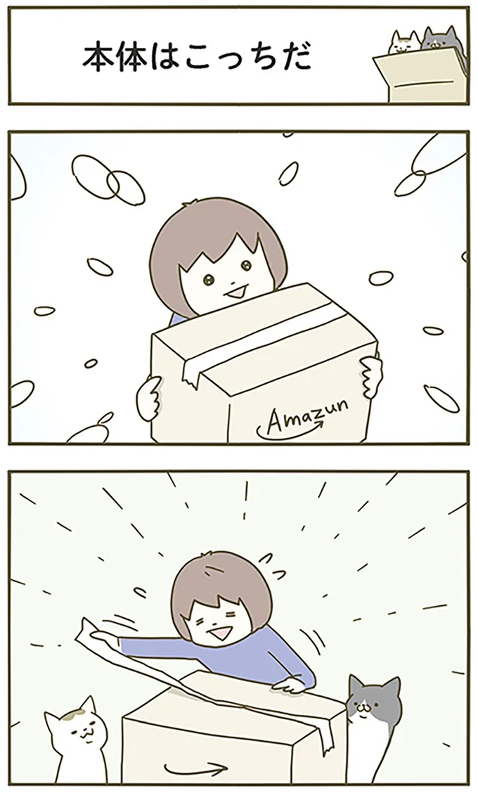 本体はこっちだ