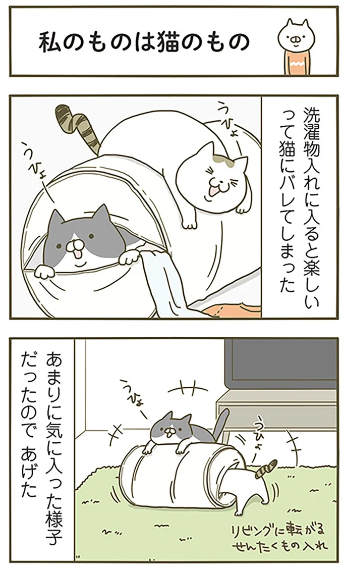 私のものは猫のもの
