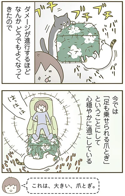 これは、大きい、爪とぎ