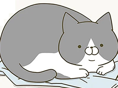 服の上に猫が！