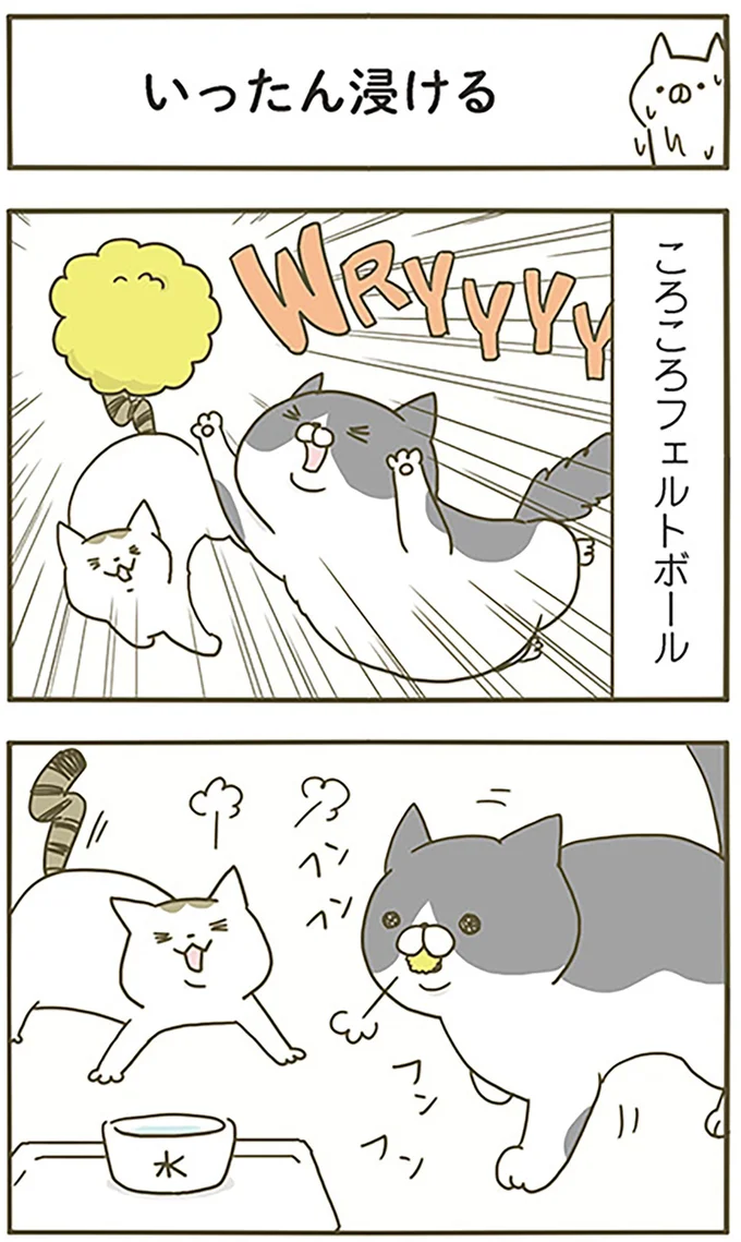 いったん浸ける
