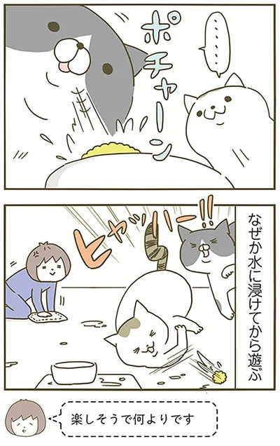 楽しそうで何よりです