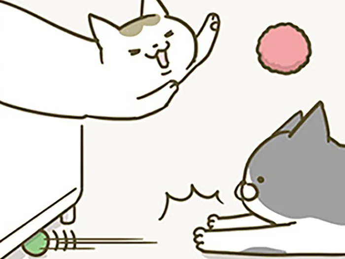 猫がよく遊ぶ手芸用のポンポン。なくしがちなのでもう1パック追加すると