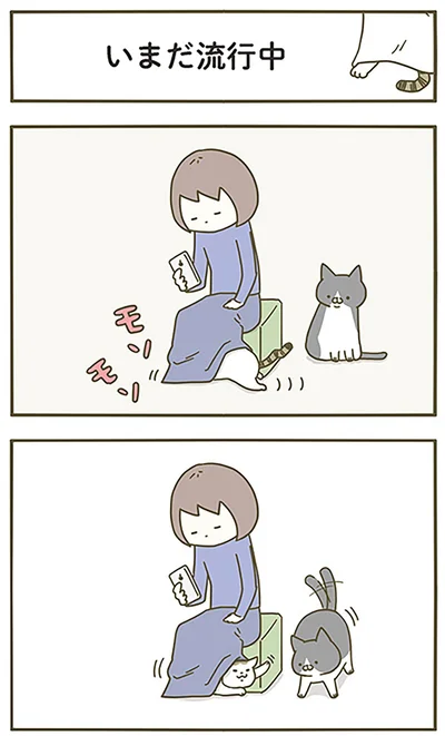 いまだ流行中