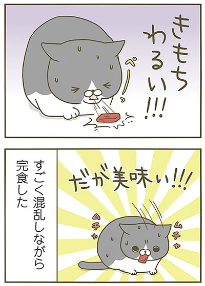 完食した