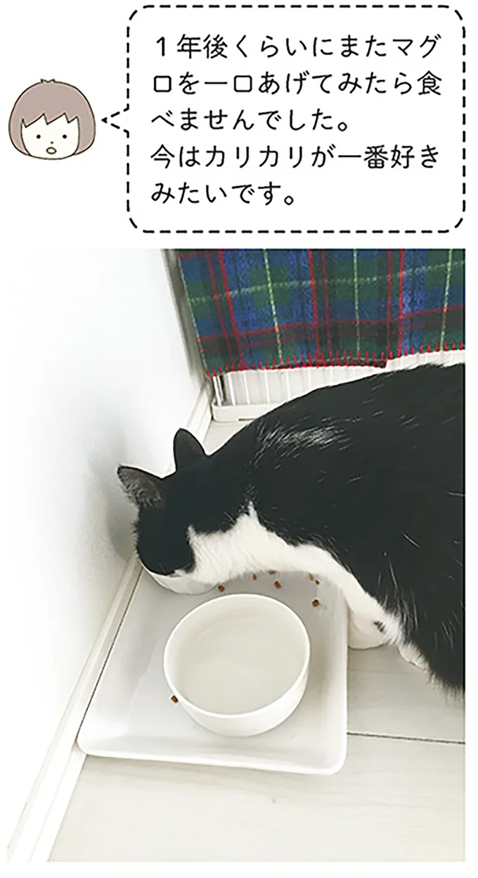 1年後くらいに