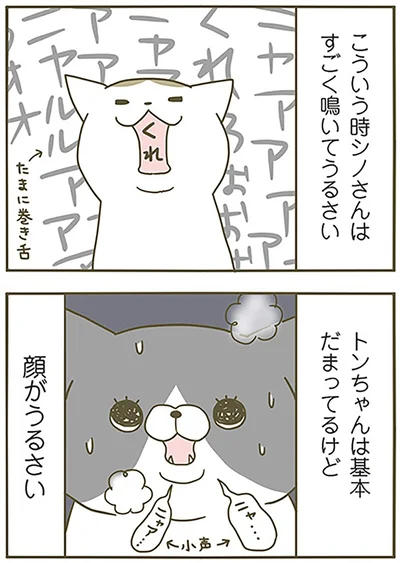顔がうるさい
