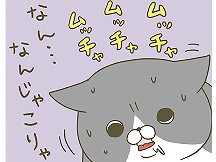 珍しい食べ物に困惑？ キャットフードを普段食べている猫にマグロをあげてみたら