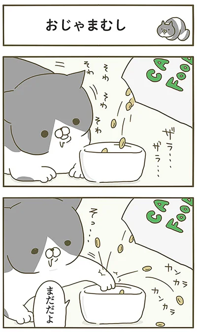 おじゃまむし