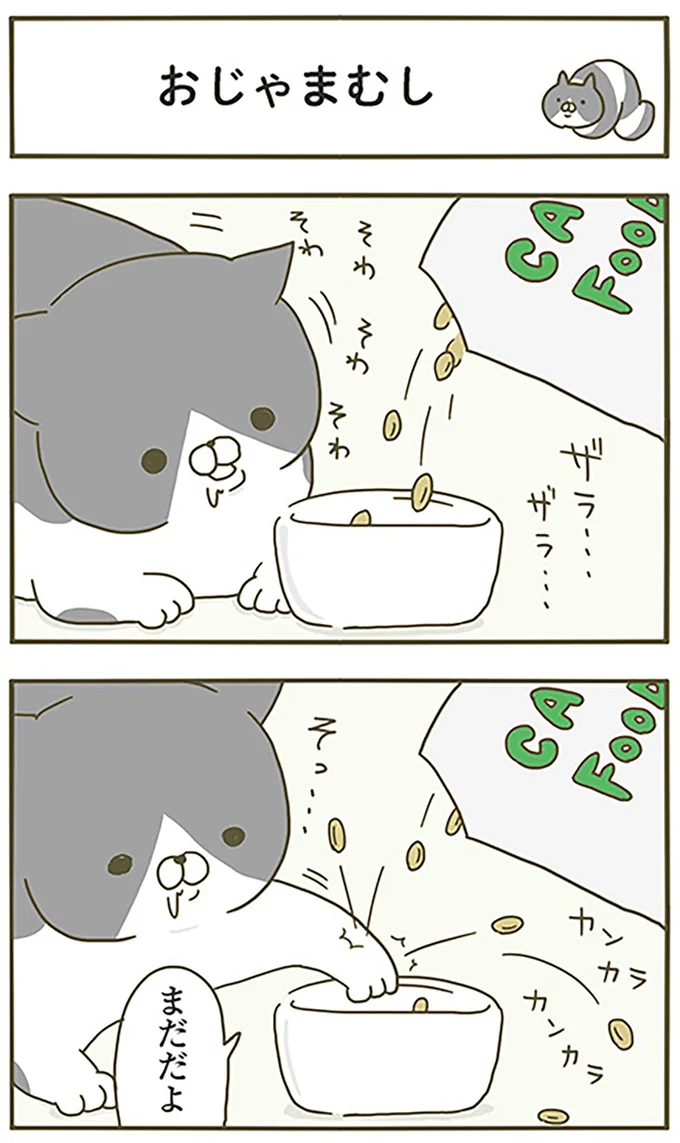 おじゃまむし