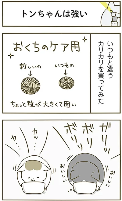 トンちゃんは強い