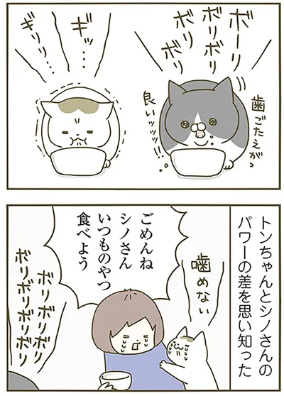 パワーの差