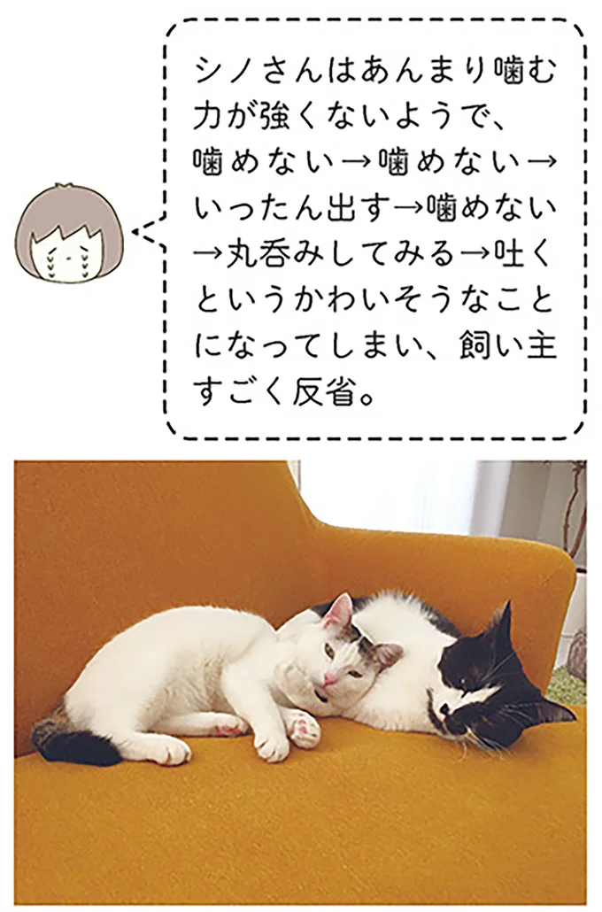 すごく反省