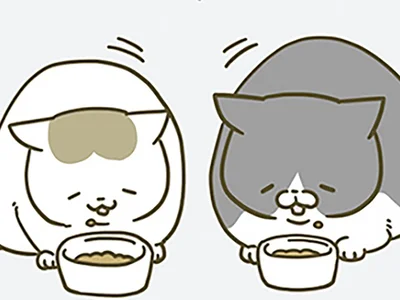 猫の反応
