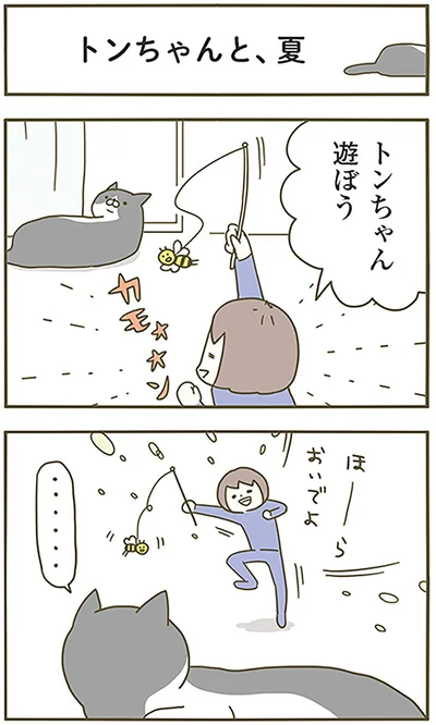 トンちゃんと、夏
