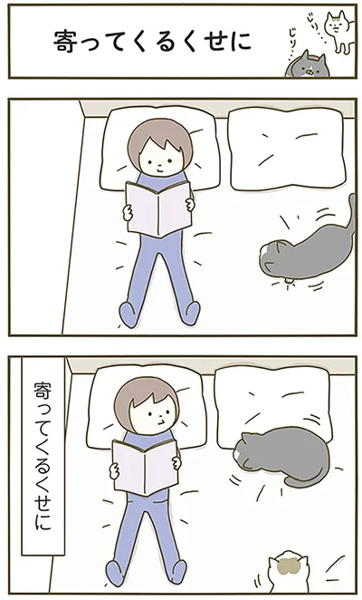寄ってくるくせに