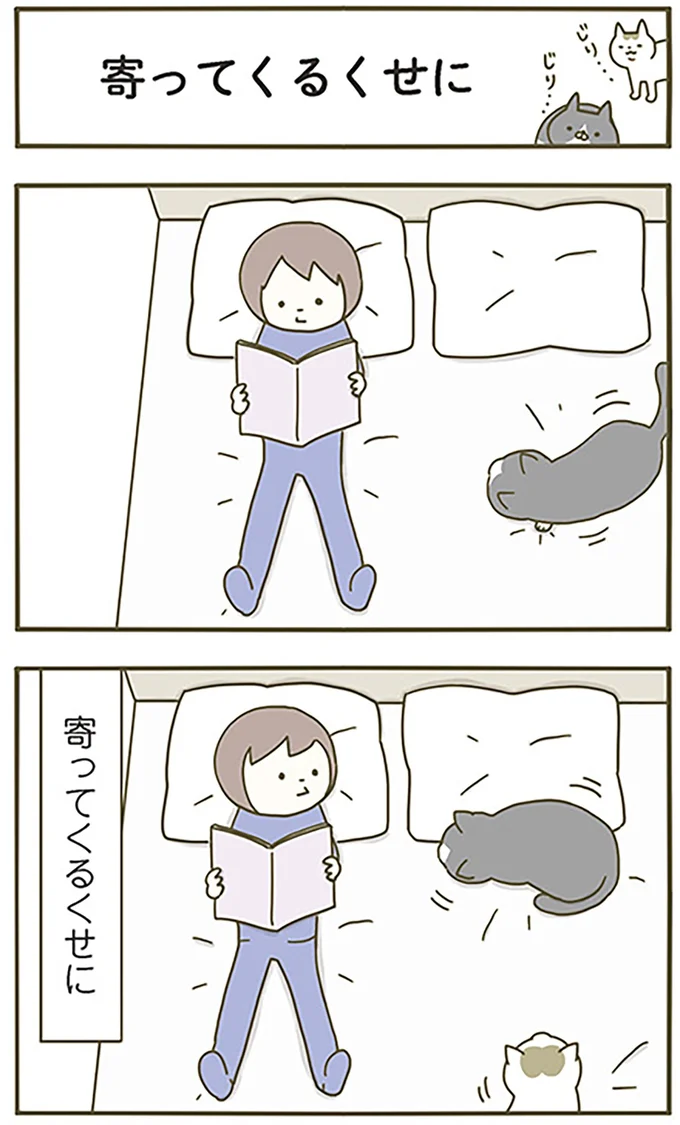寄ってくるくせに