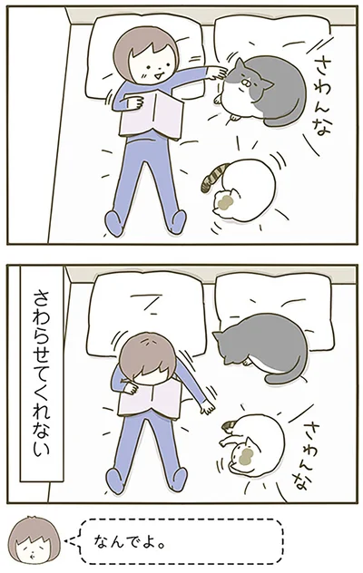 さわらせてくれない