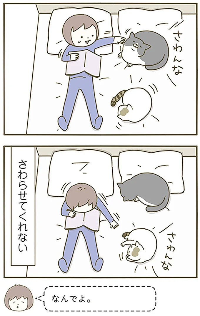 さわらせてくれない